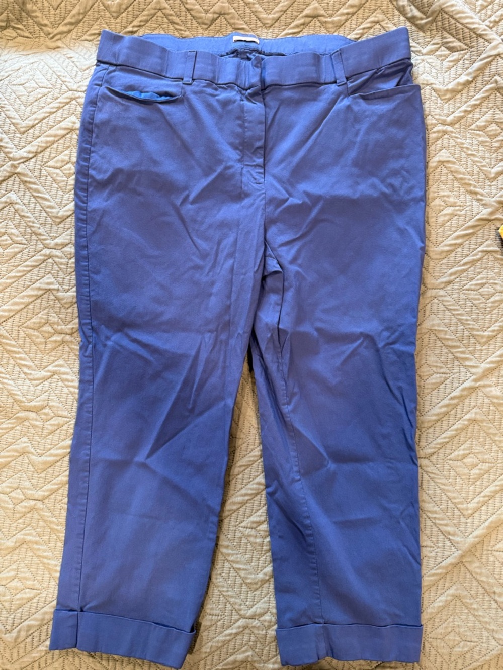 Maurices Blue Cropped Ankle Pants